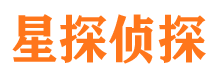 隆德侦探公司